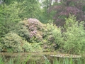 2006-06-07 Biezenmortel 004