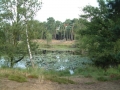 2006-08-16 Nemelaer 009