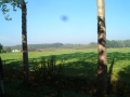 2006-10-11 St. Oedenrode 012