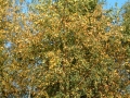 2006-10-25 Horst 018