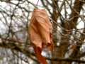 2006-12-06 Macharen 017