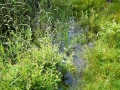 2007-06-20 Waalwijk 003