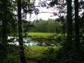 2007-08-29 Veldhoven 007