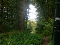 2007-09-26 Ubbergen 009