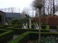 2007-11-21 Nuenen 001