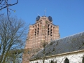 2008-04-23 Beesd 001