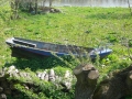 2008-04-23 Beesd 009