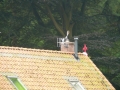 2008-06-04 Wouwse Plantage 004