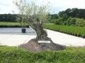 2008-06-18 Biezenmortel 011