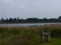2008-07-30 Kampina 007