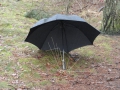 2011-01-12 Rucphen004
