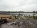 2011-01-12 Rucphen005