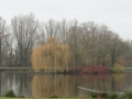 2011-01-26 Laarbeek008