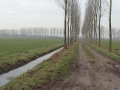 2011-01-26 Laarbeek014