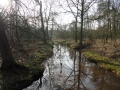 2011-02-09 Oisterwijk012
