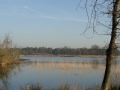 2011-02-09 Oisterwijk013