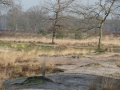 2011-02-09 Oisterwijk016