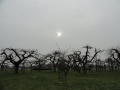 2011-02-23 Schoonrewoerd034