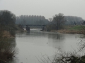 2011-02-23 Schoonrewoerd043