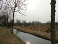 2011-02-23 Schoonrewoerd049