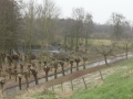 2011-02-23 Schoonrewoerd053