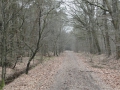 2011-03-09 Gilze007