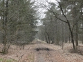 2011-03-09 Gilze008