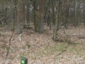 2011-03-09 Gilze011