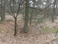 2011-03-09 Gilze012