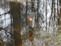 2011-03-09 Gilze016