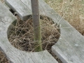 2011-03-09 Gilze022
