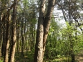 2011-04-20 Bakel024