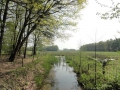 2011-04-20 Bakel030