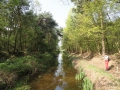 2011-04-20 Bakel031