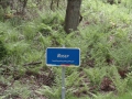 2011-05-04 Moergestel013