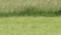 2011-06-01 Erp001
