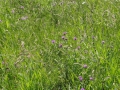 2011-06-01 Erp006