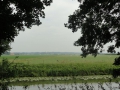 2011-06-15 Zetten018