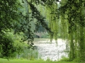 2011-06-15 Zetten024