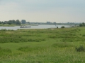 2011-06-15 Zetten031