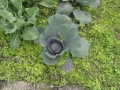 2011-06-29 Drunen035