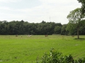 2011-08-10 Son018