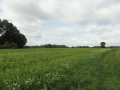 2011-09-07 Liempde015