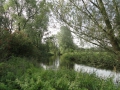 2011-09-07 Liempde018