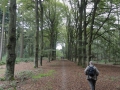 2011-09-16 Elst018