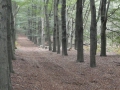 2011-09-16 Elst020