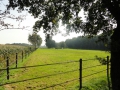 2011-09-26 Ruinen007 (Kopie)