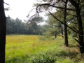 2011-09-26 Ruinen016 (Kopie)