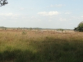 2011-09-26 Ruinen018 (Kopie)