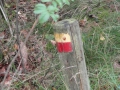 2011-09-27 Uffelte007 (Kopie)